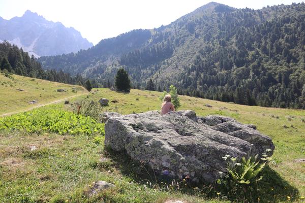 A person sits on a large rock, gazing out at a vast mountain landscape covered in lush green forests and meadows